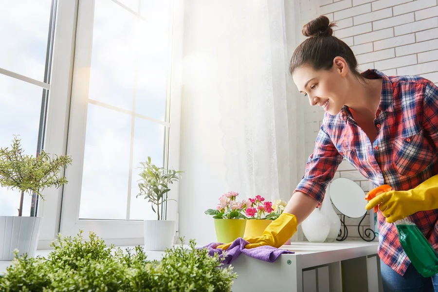 The Benefits Of Professional Help For A Stress-free House Clean Out in Phelan, CA The Benefits Of Professional Help For A Stress-free House Clean Out in Phelan, CA